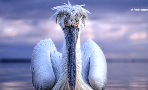 Παιδικός καρκίνος: Πάνω από 400.000 περιστατικά ετησίως σε όλο τον κόσμο