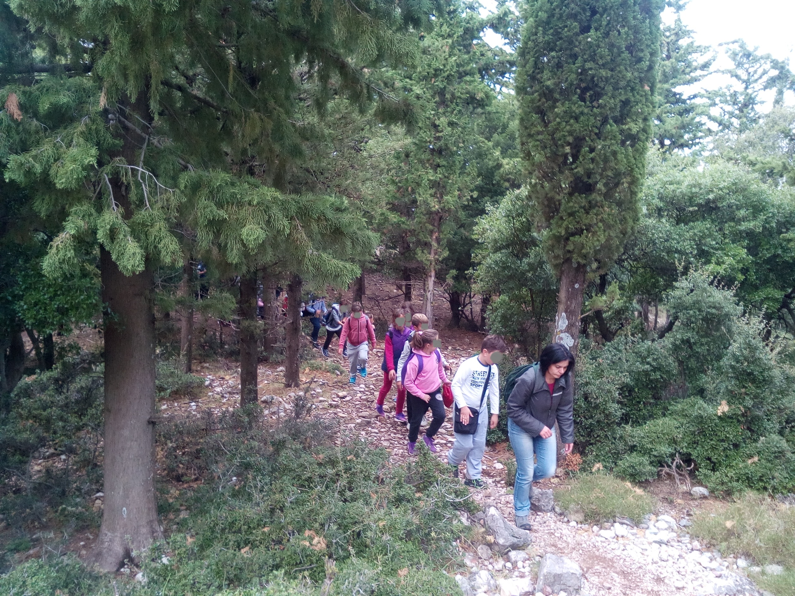 pezoporia-sto-dasos-panaxaiko Παναχαϊκό όρος: Από δυσπρόσιτο στο παρελθόν, στο σήμερα της εύκολης πρόσβασης και ανάδειξης της ομορφιάς του