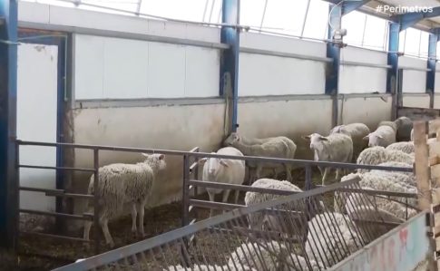 Κάτω Σχολάρι Θεσσαλονίκης: Σοκάρουν οι εικόνες από την «εξαφανισμένη» τεχνητή λίμνη