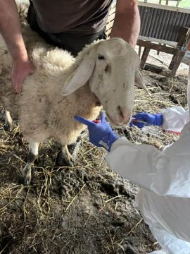 Κρήτη: Νέες αφίξεις μεταναστών νότια του Ηρακλείου