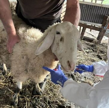 <strong>Η τέχνη για όλους: Πρωτοποριακή έκθεση εικαστικών από τη Σχολή Καλών Τεχνών Ιωαννίνων</strong>