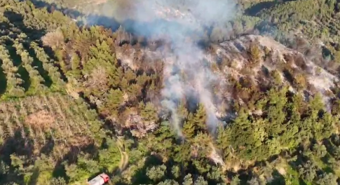 Το Θέατρο Τ διοργανώνει τριήμερο σεμινάριο<br>με τη σκηνοθέτη Γεωργία Μαυραγάνη