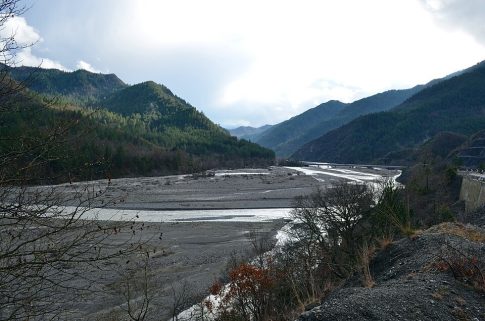 Κοζάνη: Μαθητές φύτεψαν και «υιοθέτησαν» δέντρα στη Σιάτιστα – Ένα ζωντανό μάθημα αγάπης για τη φύση