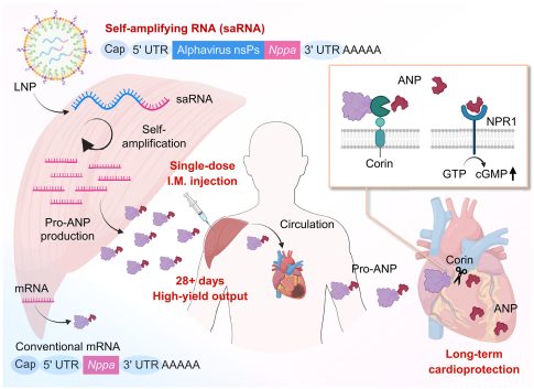 «Γενέθλια Γη»: Εγκαίνια έκθεσης της Έφης Σούτογλου <strong>στο Διαχρονικό Μουσείο Λάρισας</strong>