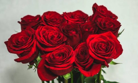 Ημιμαραθώνιος Αθήνας 2026: Προσωρινές κυκλοφοριακές ρυθμίσεις από τις 7:00