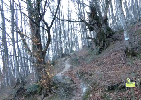 Χαλκιδική: «Καθαρές θάλασσες κι ακτές χωρίς μικροπλαστικά»- Ενημερωτική δράση στην πλατεία Μεταφόρφωσης