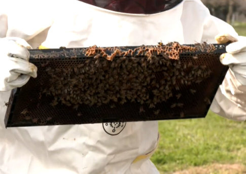 “Send Barron”: H διαδικτυακή καμπάνια για την στράτευση του Μπάρον Τραμπ στον πόλεμο με το Ιράν