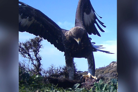 “Δύο Φιλιά”: Το τραγούδι που μεταφράστηκε στη νοηματική για εκπαιδευτικούς λόγους