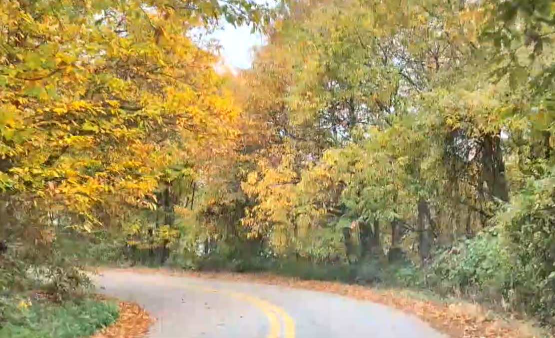 Θεσσαλονίκη: Από την πόλη στο χωριό- Δύο ζευγάρια έκαναν μια νέα αρχή στα Πετροκέρασα