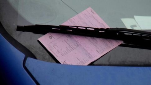 <strong>Ελαιοκομικό Μητρώο: Υποχρεώσεις Ελαιοπαραγωγών για τις Δηλώσεις Συγκομιδής</strong>