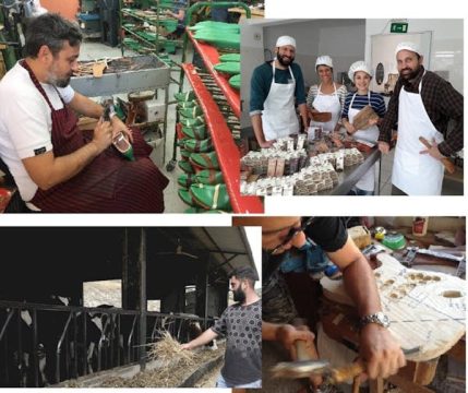 Χανιά: Μία σύλληψη και κατάσχεση 143 γρ. κοκαΐνης