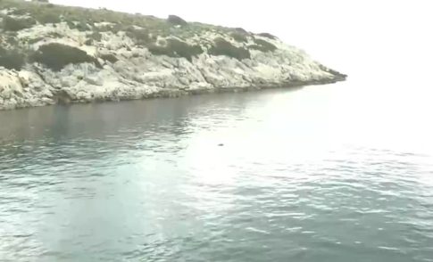 Λονδίνο: Πυρπολήθηκαν τέσσερα ασθενοφόρα της εβραϊκής κοινότητας – Σε βίντεο οι δράστες