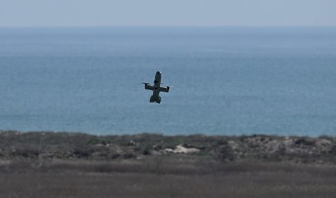 Ροδόπη: Διακοπές ρεύματος σε πέντε ορεινούς οικισμούς τη Δευτέρα 27 Απριλίου