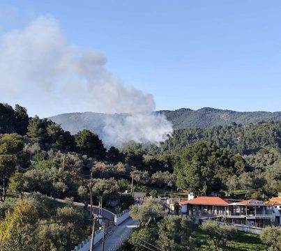Συνελήφθη 65χρονος στη Μαγνησία για μεταφορά εννέα αλλοδαπών γυναικών χωρίς ταξιδιωτικά έγγραφα