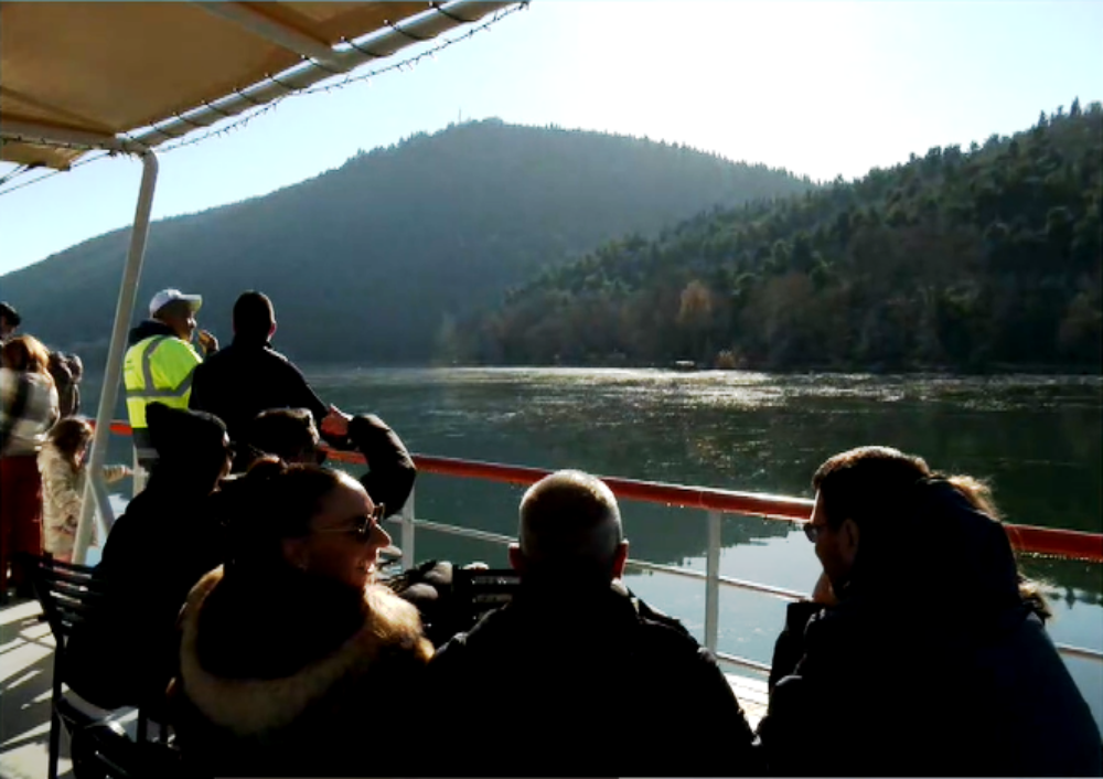 Νεκρός κύκνος στην Καστοριά από την γρίπη των πτηνών