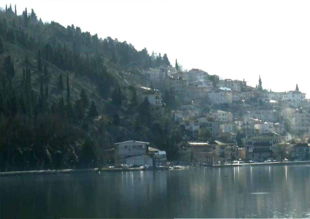 Νεκρός κύκνος στην Καστοριά από την γρίπη των πτηνών