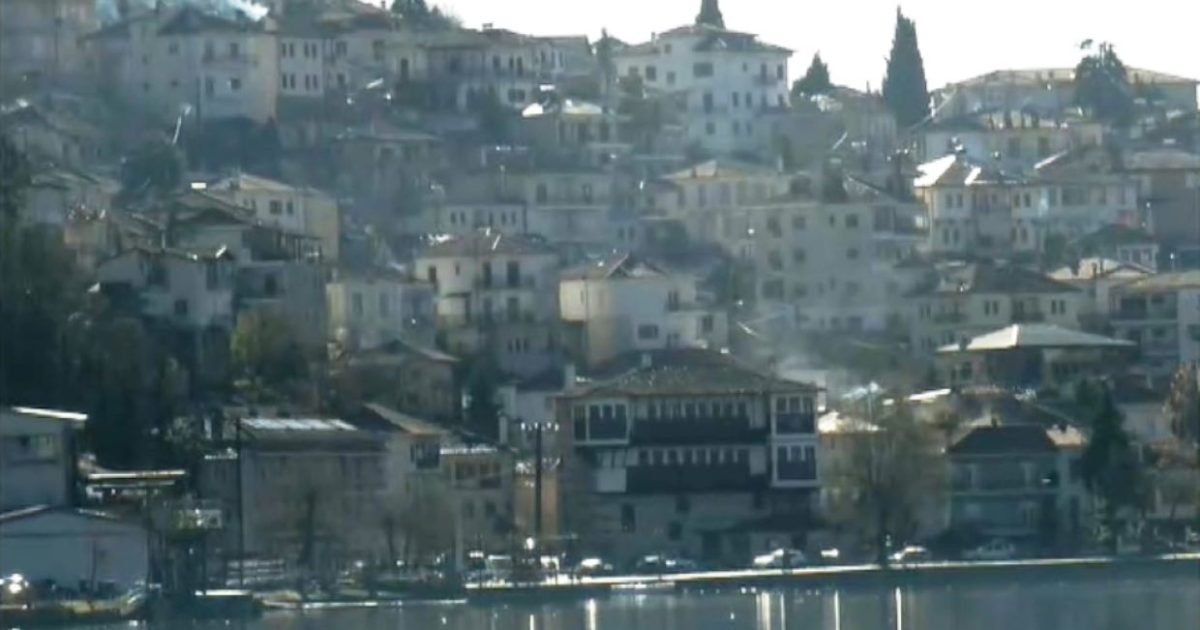 Νεκρός κύκνος στην Καστοριά από την γρίπη των πτηνών  