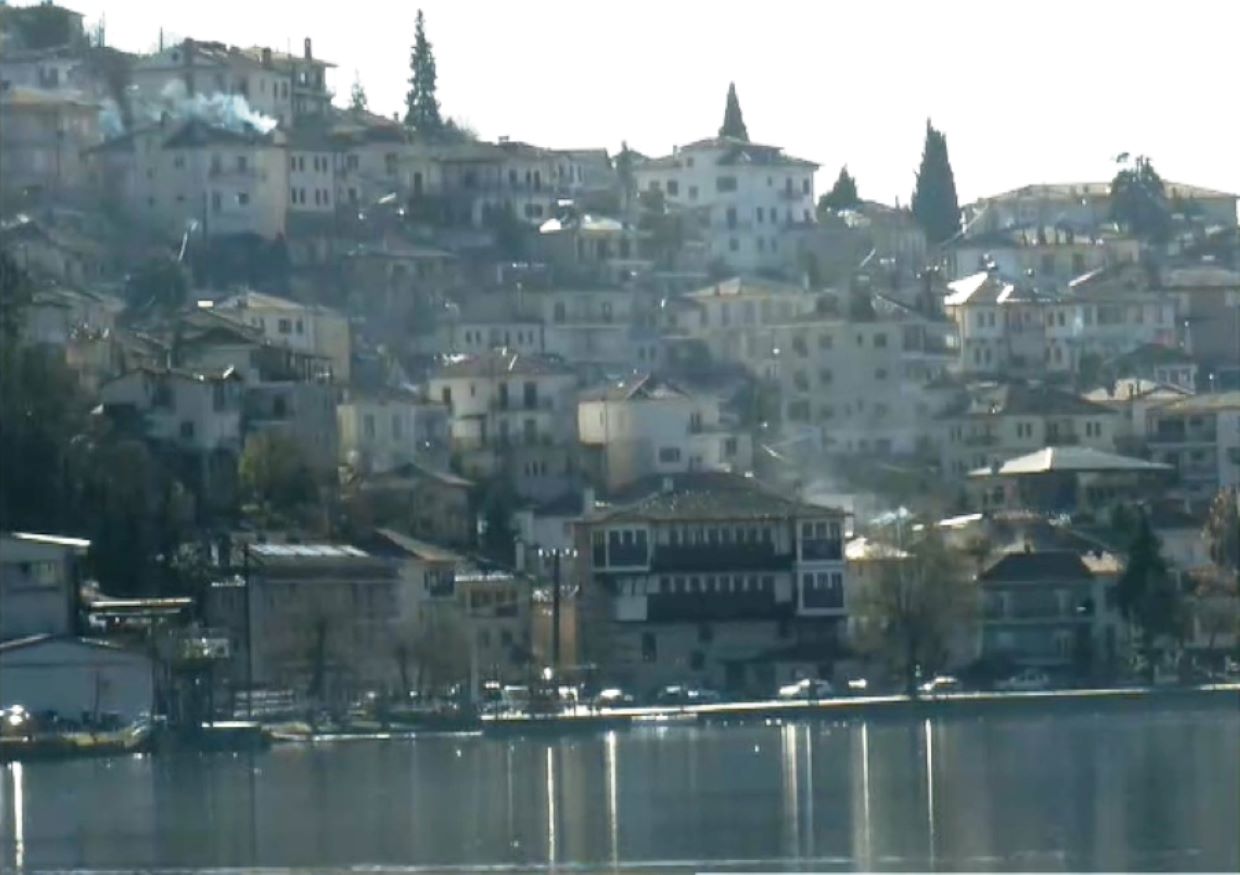 Νεκρός κύκνος στην Καστοριά από την γρίπη των πτηνών  