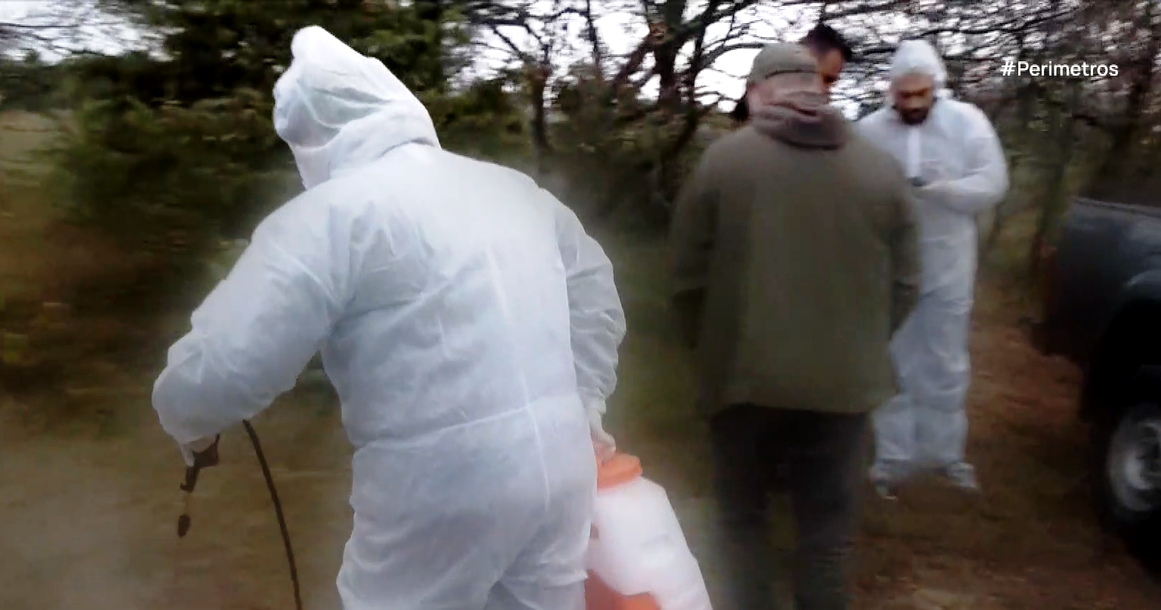 Νεκρά πρόβατα εντοπίστηκαν στην Κοζάνη