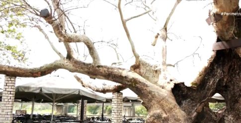 Έκθεση ψηφιακής τέχνης «Di<Au>logues» στο αρχαιολογικό μουσείο Θεσσαλονίκης