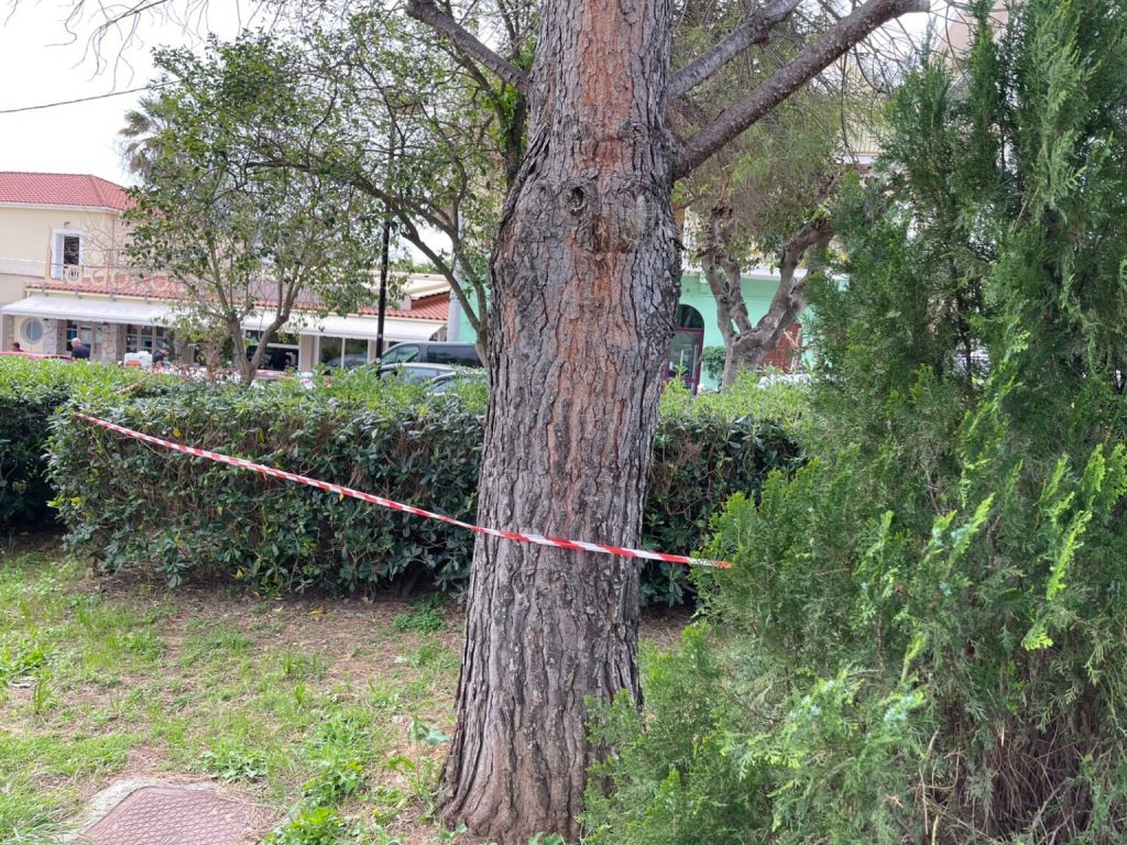 Δύο συλλήψεις για τον θάνατο της 19χρονης στην Κεφαλονιά – Τι δείχνει το βίντεο που εξετάζει η αστυνομία