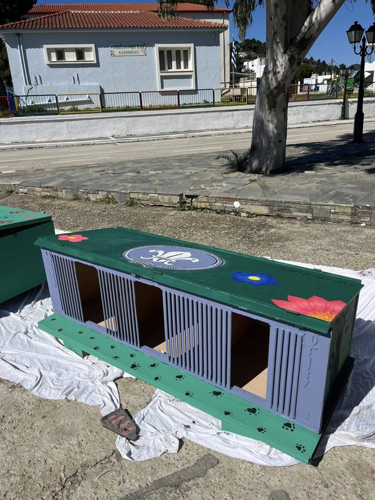 Αλόννησος: Οι «Πρωταγωνίστριες» της Αλοννήσου οι γάτες – Οι Πρόσκοποι έφτιαξαν γατόσπιτα