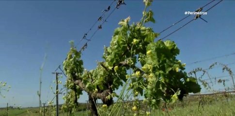 2<sup>ο</sup> Δημοτικό Σχολείο Αλεξανδρούπολης: Μάζεψαν καπάκια, πήραν αναπηρικό αμαξίδιο και το χάρισαν στο Ειδικό Δημοτικό Σχολείο