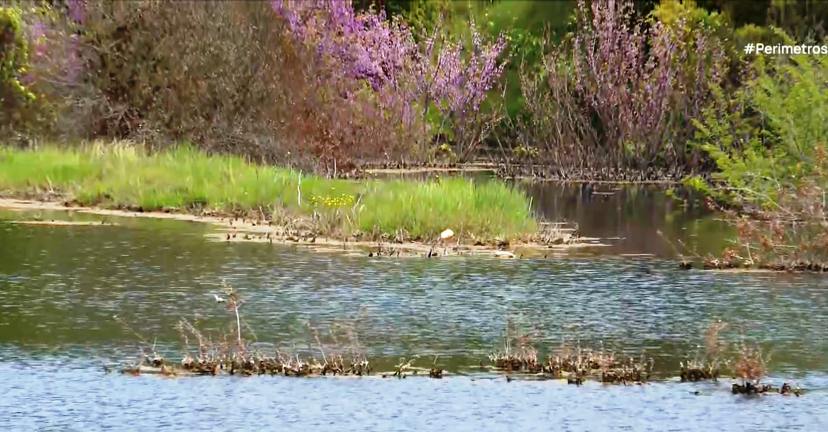 Παραδίδεται το φράγμα Ληθαίου