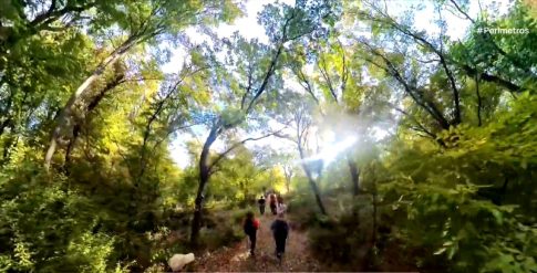 Εντοπίστηκε για πρώτη φορά στην Ελλάδα βρώσιμο βούτυρο κάνναβης σε πακέτο με ναρκωτικά που παρέλαβε 27χρονος