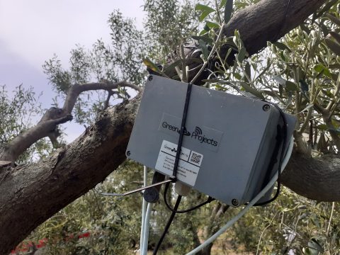 ‘Νύχτες καλοκαιριού’ με την Κ.Ο.Θ.<br>στο ‘Μίκης Θεοδωράκης’ του Δήμου Κορδελιού-Ευόσμου