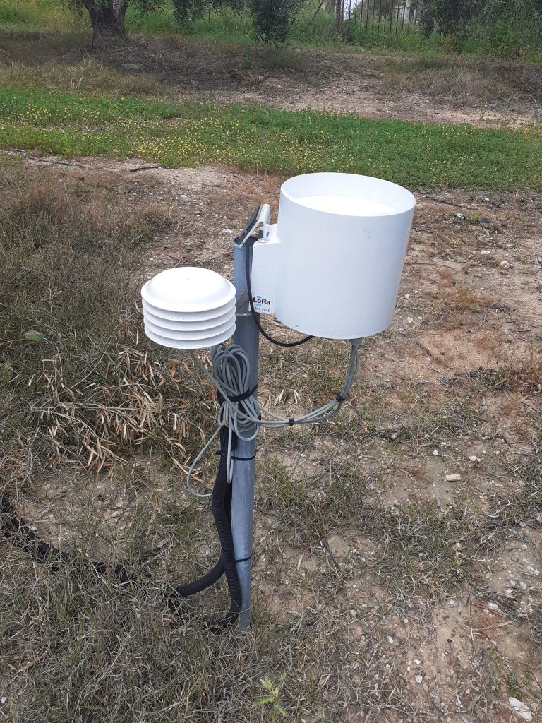 Αγουρέλαιο Χαλκιδικής: Καινοτόμo πρωτόκολλο παραγωγής «εκτοξεύει» τις δυνατότητες των ελαιοκαλλιεργητών