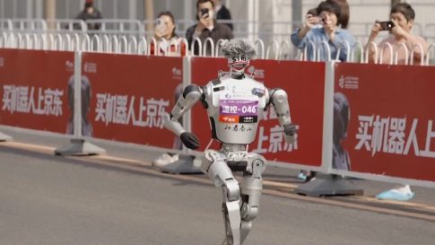 Δήμαρχος Πολυγύρου Χαλκιδικής στο ΕΡΤnews Radio 105,8 για τη θανάτωση 21 σκύλων στον Βάβδο: Δεν έχω λόγια – Ανάγκη για ενημέρωση και ευαισθητοποίηση