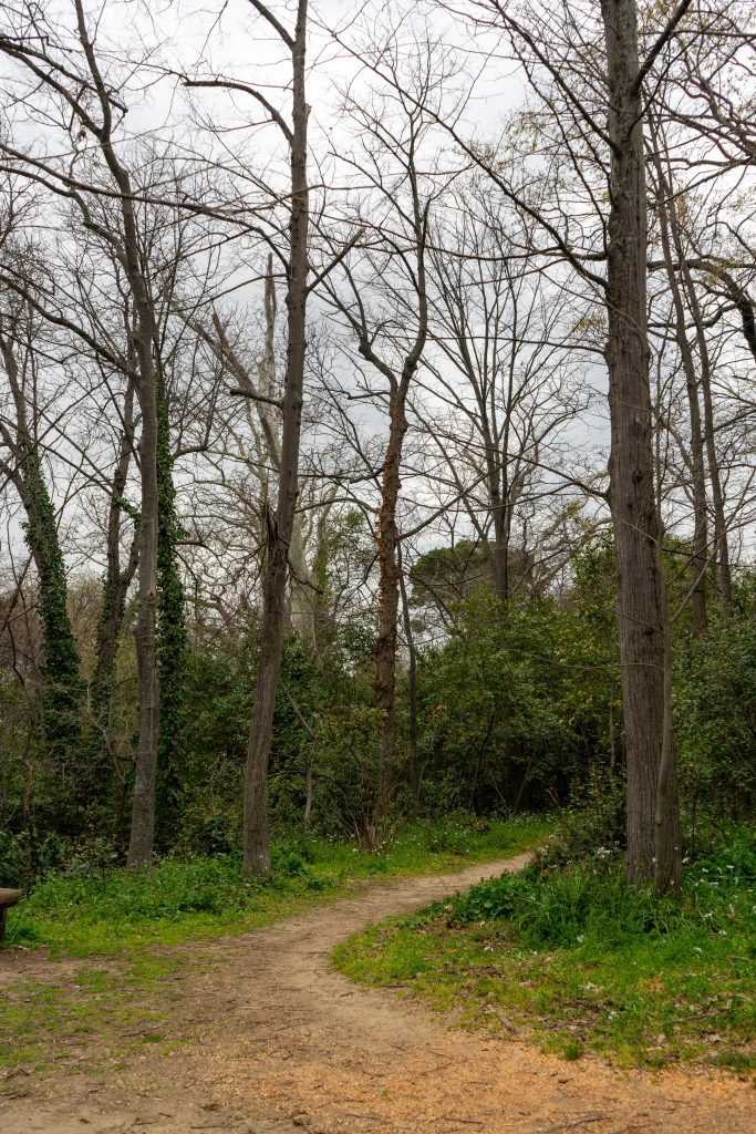 Κυριακάτικος βιωματικός περίπατος στον ιστορικό κήπο Δελασάλ στα Πεύκα