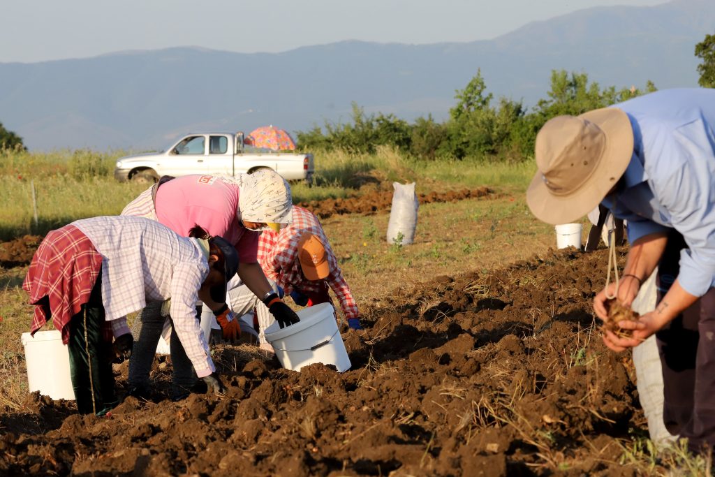 Κρίσιμες επαφές του Μαργαρίτη Σχοινά στις Βρυξέλλες για τον πρωτογενή τομέα