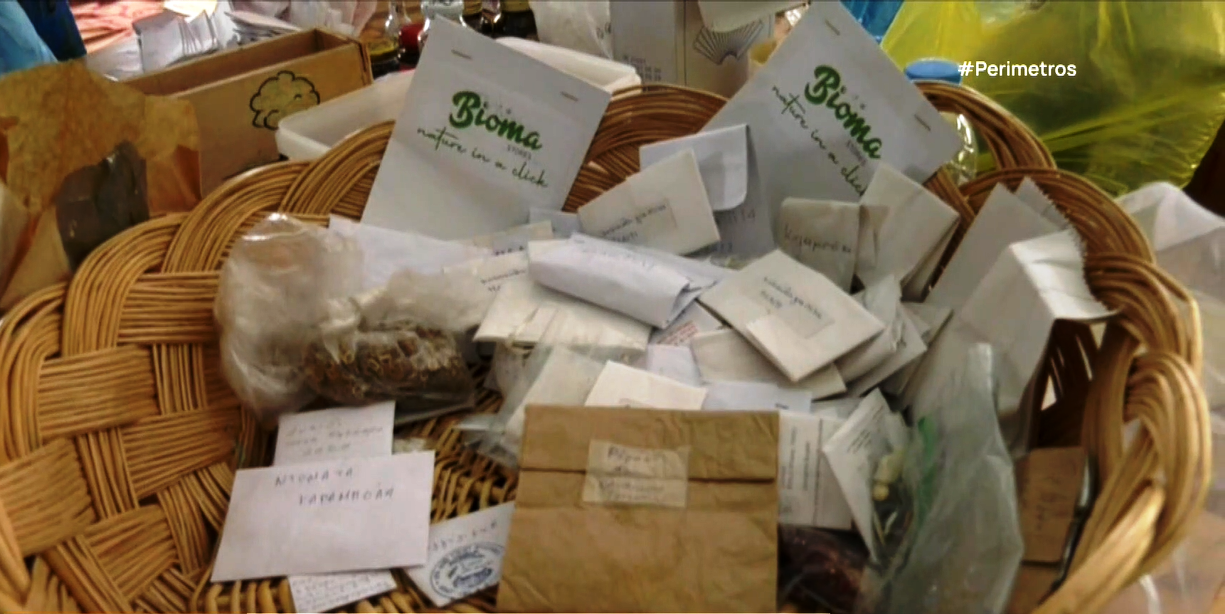 Η 26η γιορτή σπόρων του Πελίτι