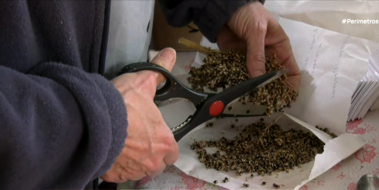 Η 26η γιορτή σπόρων του Πελίτι