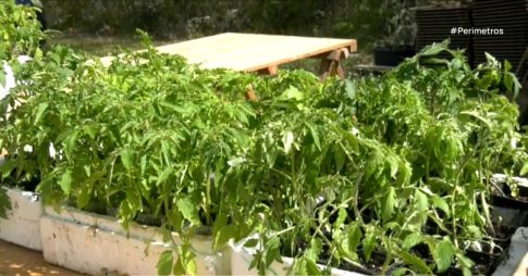 Εντοπίστηκε για πρώτη φορά στην Ελλάδα βρώσιμο βούτυρο κάνναβης σε πακέτο με ναρκωτικά που παρέλαβε 27χρονος