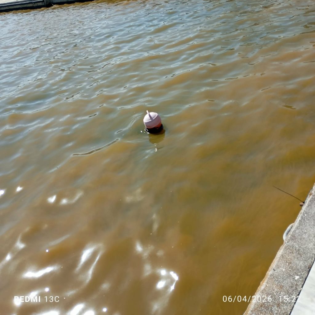 Νέο περιστατικό ρύπανσης στο λιμάνι του Βόλου