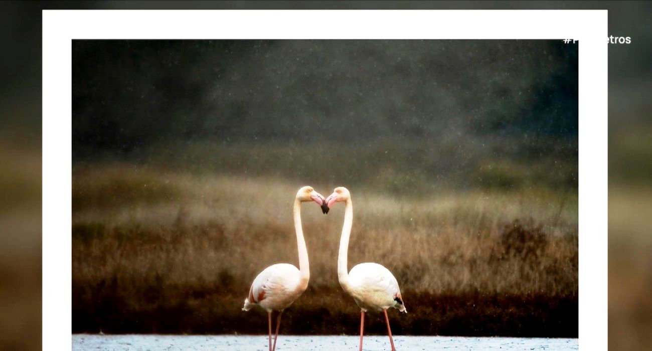 Η φύση μέσα από τον φωτογραφικό φακό