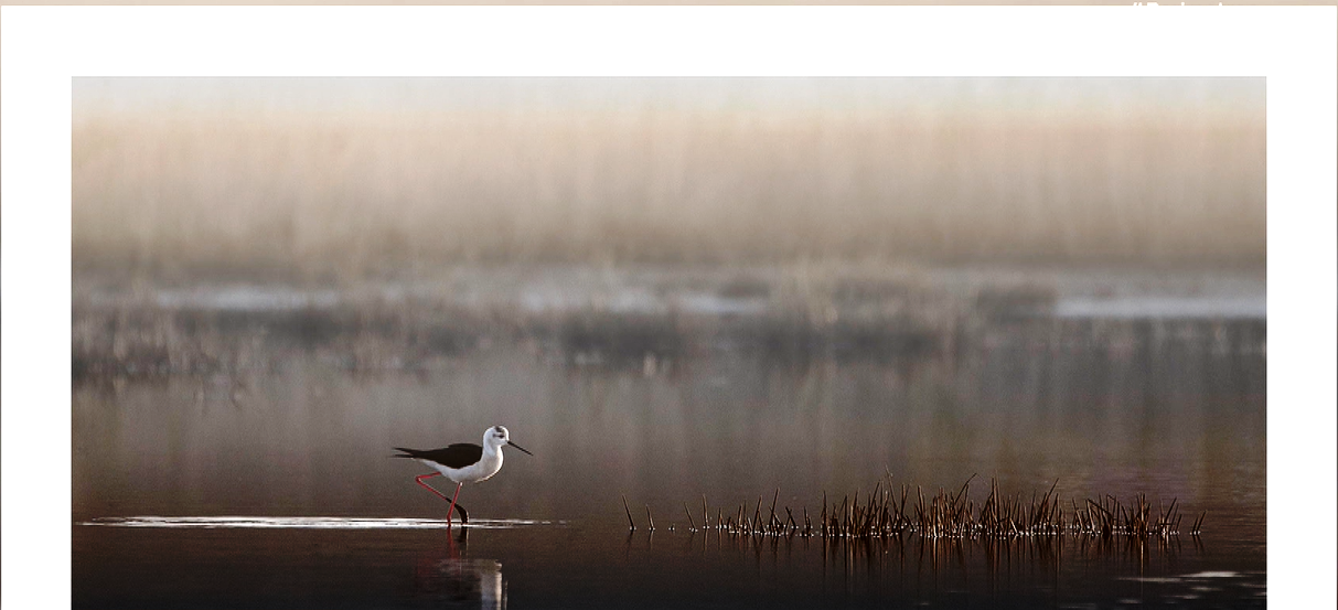Η φύση μέσα από τον φωτογραφικό φακό               