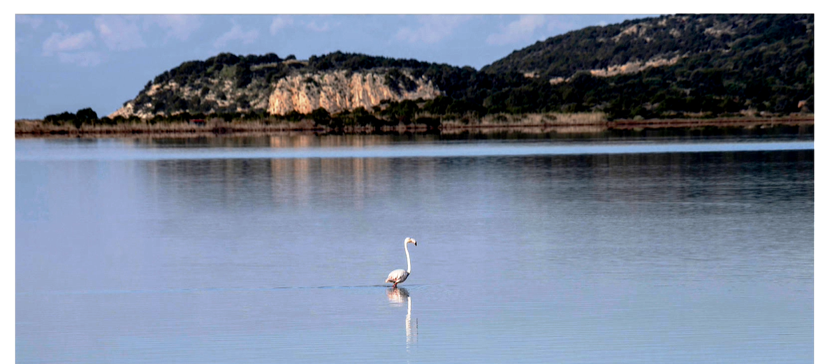Η φύση μέσα από τον φωτογραφικό φακό               