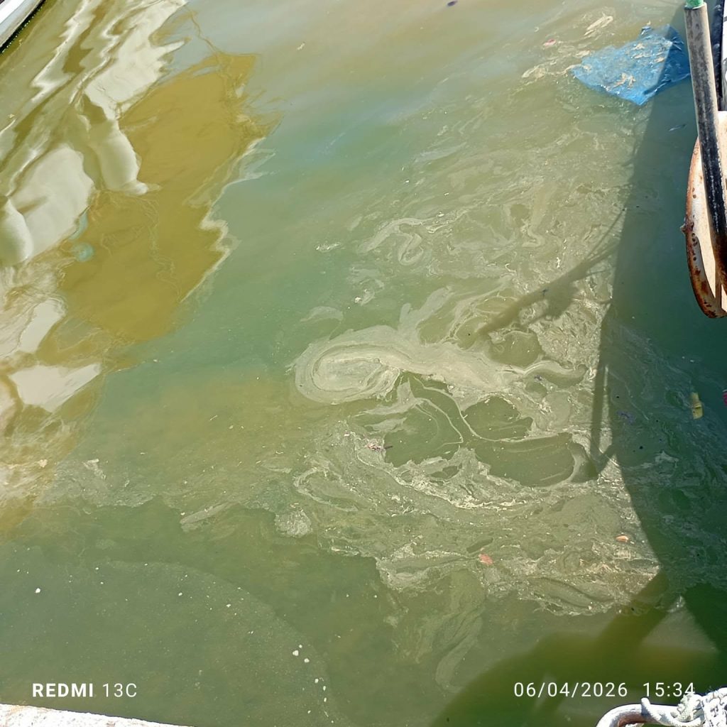 Βόλος: Αποκαρδιωτική εικόνα στο λιμάνι – «Λάθος ερωτήσεις, χωρίς απαντήσεις» προειδοποιεί ο Κορμάς