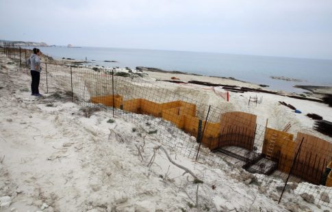 Ιεράπετρα: Σύλληψη για <strong>δηλητηρίαση αδέσποτου σκύλου</strong>