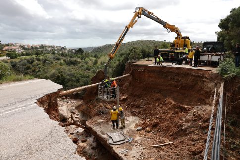 Λέσβος: Αρνητικά και τα χθεσινά δείγματα για τον αφθώδη – Γραμμή επικοινωνίας των κτηνοτρόφων με την Περιφέρεια