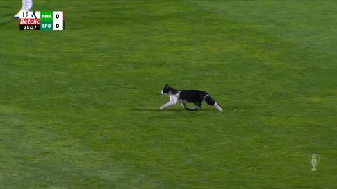 Πάσχα με αύξηση των μεταναστευτικών ροών – Τρεις επιχειρήσεις της Frontex νότια της Κρήτης