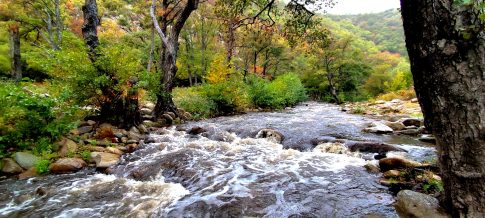 Διακοπή ρεύματος στον οικισμό Στρύμης την Παρασκευή