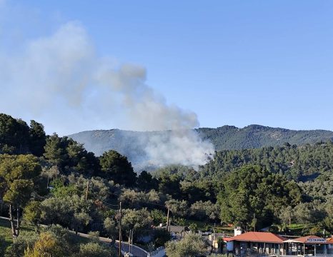 Φωτιά στη Σκιάθο – Μεγάλη κινητοποίηση της Πυροσβεστικής