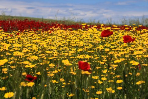 Το ΕΡΤnews στη Βηρυτό: Εικόνες χάους και καταστροφής από το ισραηλινό σφυροκόπημα, η πιο αιματηρή ημέρα του πολέμου