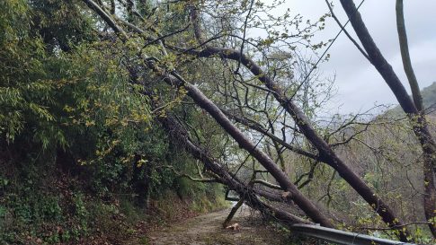 Κύκλος συναυλιών «Ave Generosa» στον Δήμο Νοτίου Πηλίου