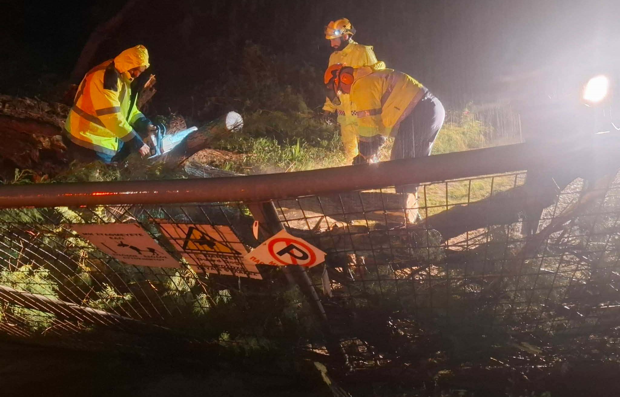 Κακοκαιρία στα Δωδεκάνησα: Πτώση δέντρου σε αυλοπορτα στην Κω – θυελλώδεις άνεμοι στη Ρόδο